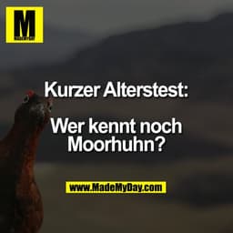 Kurzer Alterstest:

Wer kennt noch Moorhuhn?