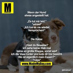 Wenn der Hund etwas angestellt hat:
„Es tut mir leid.“ *winsel* „Ich tue es nie wieder. Versprochen!“

Die Katze:
„Hast 