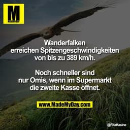 Wanderfalken erreichen Spitzengeschwindigkeiten von bis zu 389 km/h.
Noch schneller sind nur Omis, wenn im Supermarkt di