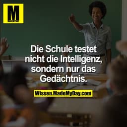 Die Schule testet
nicht die Intelligenz, sondern
nur das Gedächtnis.