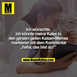 Ich wünschte, ich könnte meine Katze in den ganzen geilen Katzen-Memes markieren mit dem Kommentar „haha, das bist du!“.