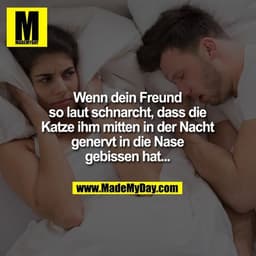 Wenn dein Freund so laut schnarcht, dass die Katze ihm mitten in der Nacht genervt in die Nase gebissen hat...