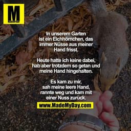 In unserem Garten
ist ein Eichhörnchen, das
immer Nüsse aus meiner
Hand frisst.

Heute hatte ich keine dabei,
hab aber t