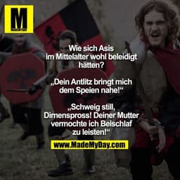Wie sich Asis im Mittelalter
wohl beleidigt hätten?
„Dein Antlitz bringt mich
dem Speien nahe!“
„Schweig still, Dirnensp