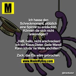 Ich hasse den Schreckmoment,
plötzlich eine Spinne zu
entdecken. Können die sich
nicht ankündigen?
„Halli, hallo, nicht 