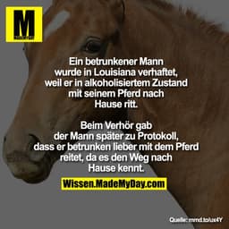 Ein betrunkener Mann wurde in Louisiana verhaftet, weil er in alkoholisiertem Zustand mit seinem Pferd nach Hause ritt.
