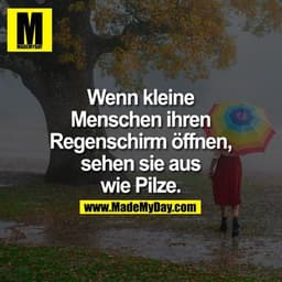 Wenn kleine Menschen ihren Regenschirm öffnen, sehen sie aus wie Pilze.