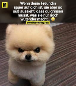 Wenn deine Freundin sauer auf dich ist, sie aber so süß aussieht, dass du grinsen musst, was sie nur noch wütender macht