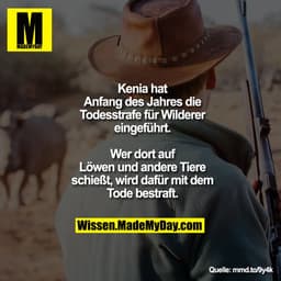 Kenia hat Anfang des Jahres die Todesstrafe für Wilderer eingeführt.
Wer dort auf Löwen und andere Tiere schießt, wird d