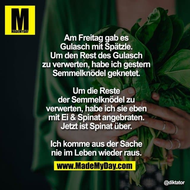 Am Freitag gab es Gulasch mit Spätzle. Um den Rest des Gulasch zu verwerten, habe ich gestern Semmelknödel geknetet. Um die Reste der Semmelknödel zu verwerten, habe ich sie eben mit Ei & Spinat angebraten. Jetzt ist Spinat über. Ich komme aus der Sache nie im Leben wieder raus. - Inspiration, Zitate & Sprüche | MadeMyDay | Jetzt entdecken & teilen Am Freitag gab es Gulasch mit Spätzle. Um den Rest des Gulasch zu verwerten, habe ich gestern Semmelknödel geknetet. Um die Reste der Semmelknödel zu verwerten, habe ich sie eben mit Ei & Spinat angebraten. Jetzt ist Spinat über. Ich komme aus der Sache nie im Leben wieder raus. - Inspirierendes Zitat mit Bild