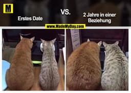 Erstes Date VS. 2 Jahre in einer Beziehung
