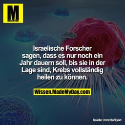 Israelische Forscher sagen, dass es nur noch ein Jahr dauern soll, bis sie in der Lage sind, Krebs vollständig heilen zu