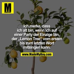 Ich merke, dass ich alt bin, wenn ich auf einer Party der Einzige bin, der „Lemon Tree“ vom ersten bis zum letzten Wort 