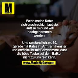 Wenn meine Katze sich erschreckt, miaut sie, läuft zu mir und will hochgenommen werden.
Und so stand ich, m. 30, gerade 
