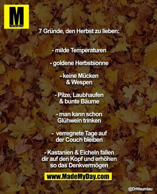 7 Gründe, den Herbst zu lieben:
- milde Temperaturen
- goldene Herbstsonne
- keine Mücken & Wespen
- Pilze, Laubhaufen & bunte Bäume
- man kann schon Glühwein trinken
- verregnete Tage auf der Couch bleiben
- Kastanien & Eicheln fallen dir auf den Kopf und
erhöhen so das Denkvermögen - Inspiration, Zitate & Sprüche | MadeMyDay | Jetzt entdecken & teilen 7 Gründe, den Herbst zu lieben:
- milde Temperaturen
- goldene Herbstsonne
- keine Mücken & Wespen
- Pilze, Laubhaufen & bunte Bäume
- man kann schon Glühwein trinken
- verregnete Tage auf der Couch bleiben
- Kastanien & Eicheln fallen dir auf den Kopf und
erhöhen so das Denkvermögen - Inspirierendes Zitat mit Bild