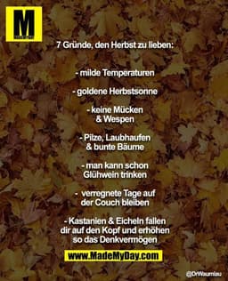 7 Gründe, den Herbst zu lieben:
- milde Temperaturen
- goldene Herbstsonne
- keine Mücken & Wespen
- Pilze, Laubhaufen &