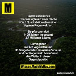 Ein brasilianisches Ehepaar legte auf einer Fläche von 6 Quadratkilometern einen eigenen Regenwald an. Sie pflanzten dor