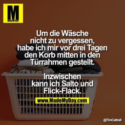 Um die Wäsche nicht zu vergessen, habe ich mir vor drei Tagen den Korb mitten in den Türrahmen gestellt.
Inzwischen kann