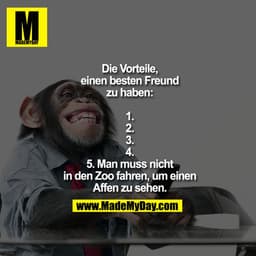Die Vorteile, einen besten Freund zu haben:
1.
2.
3.
4.
5. Man muss nicht in den Zoo fahren, um einen Affen zu sehen.