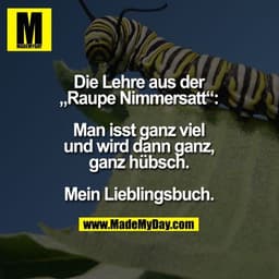 Die Lehre aus der „Raupe Nimmersatt“:
Man isst ganz viel und wird dann ganz, ganz hübsch. Mein Lieblingsbuch.