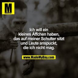 Ich will ein kleines Äffchen haben, das auf meiner Schulter sitzt und Leute anspuckt, die ich nicht mag.