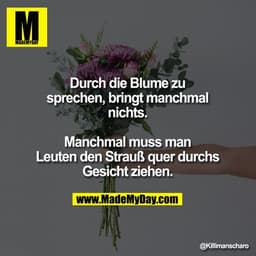 Durch die Blume zu sprechen, bringt manchmal nichts.
Manchmal muss man Leuten den Strauß quer durchs Gesicht ziehen.
