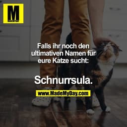Falls ihr noch den ultimativen Namen für eure Katze sucht:
Schnurrsula.