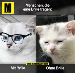 Menschen,die Brillen tragen:

Mit Brille
Ohne Brille