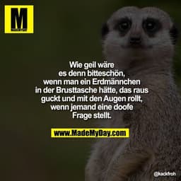 Wie geil wäre es denn bitteschön, wenn man ein Erdmännchen in der Brusttasche hätte, das raus guckt und mit den Augen ro