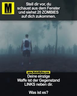 Stell dir vor, du schaust
aus dem Fenster und
siehst 20 ZOMBIES
auf dich zukommen.
Deine einzige Waffe ist
der Gegenstan