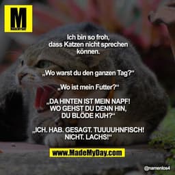 Ich bin so froh, dass Katzen
nicht sprechen können.
„Wo warst du den ganzen Tag?“
„Wo ist mein Futter?“
„DA HINTEN IST M