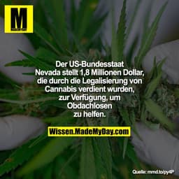 Der US-Bundesstaat Nevada stellt
1,8 Millionen Dollar, die durch die
Legalisierung von Cannabis verdient
wurden, zur Ver