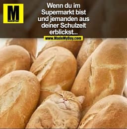 Wenn du im Supermarkt bist und jemanden aus deiner Schulzeit erblickst...