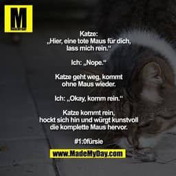 Katze: „Hier, eine tote Maus für dich, lass mich rein.“
Ich: „Nope.“
Katze geht weg, kommt ohne Maus wieder.
Ich: „Okay,