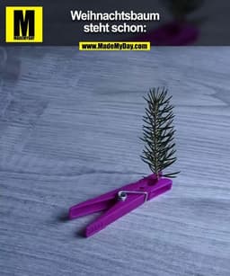 Weihnachtsbaum steht schon: