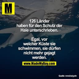 126 Länder haben für den Schutz der
Haie unterschrieben.
Egal, vor welcher Küste sie schwimmen, sie dürfen nicht 
mehr g