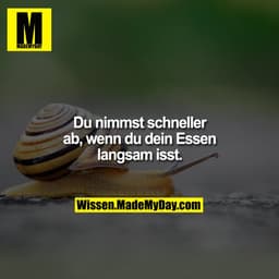 Du nimmst schneller ab, wenn
du dein Essen langsam isst.