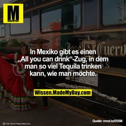 In Mexiko gibt es einen „All you can drink“-Zug, in dem man so viel Tequila trinken kann, wie man möchte.