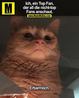 Ich, ein Top Fan,
der all die nicht-top
Fans anschaut.

Erbärmlich.