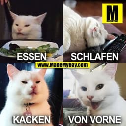 ESSEN
SCHLAFEN
KACKEN
VON VORNE