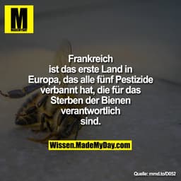Frankreich ist das erste Land in
Europa, das alle fünf Pestizide
verbannt hat, die für das Sterben
der Bienen verantwort