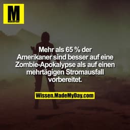 Mehr als 65 % der Amerikaner sind besser auf eine Zombie-Apokalypse als auf einen mehrtägigen Stromausfall vorbereitet.