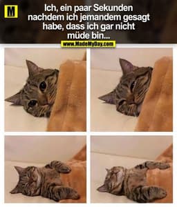Ich, ein paar Sekunden nachdem ich jemandem gesagt habe, dass ich gar nicht müde bin...