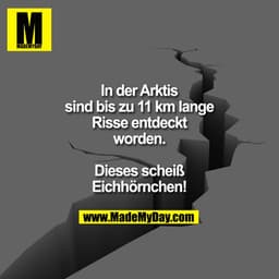 In der Arktis sind bis zu 11 km lange Risse entdeckt worden.

Dieses scheiß Eichhörnchen!