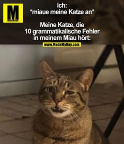 Ich: *miaue meine Katze an*
Meine Katze, die 10 grammatikalische Fehler in meinem Miau hört: