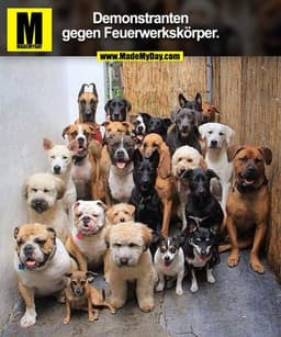 Demonstranten gegen Feuerwerkskörper.