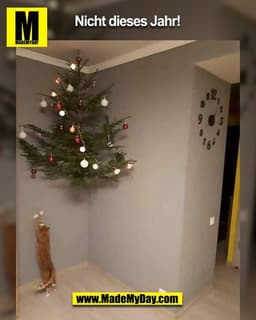 Nicht dieses Jahr...