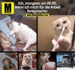 Ich, morgens um 06:00,
wenn ich mich für die Arbeit
fertigmache: