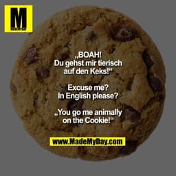 „BOAH! Du gehst mir tierisch auf den Keks!“
Excuse me? In English please?
„You go me animally on the Cookie!“