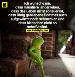 Ich wünsche mir, dass Haustiere länger leben, dass das Leben nicht so teuer ist, dass übrig gebliebene Pommes auch aufge